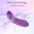 Remote Control Vibrator Sex Toys For Women With 7 Vibration Modes Vibrator Panty Werable Vibrator For Women Pleasure Purple