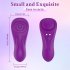 Remote Control Vibrator Sex Toys For Women With 7 Vibration Modes Vibrator Panty Werable Vibrator For Women Pleasure Purple
