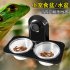 Reptile Amphibians Water Bowl Pet Lizard Food Bowl Basin Single grid suction cup