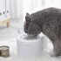 Resin Simple Transparent Pet  Bowl Grain Storage Type Oblique Neck Protector Not Wet Mouth Easy Clean Cat Dog Double Bowl Food Bowl White