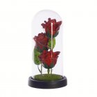 Rose Flower Gifts For Women Girls Christmas Light Up Rose Flowers In Glass Dome Gifts For Valentines Day Anniversary red flower