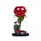 Rose LED Light Night Lamp Glass Dome Wedding Party Ornaments Valentine's Day Gift small