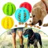 Rubber Ball Chew Pet Dog Puppy Teething Dental Healthy Treat Clean Toy large Green