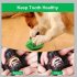 Rubber Dog Chew  Ball For  Pet  Tooth  Cleaning  Interactive  Dog  Treat  Toys green opp bag