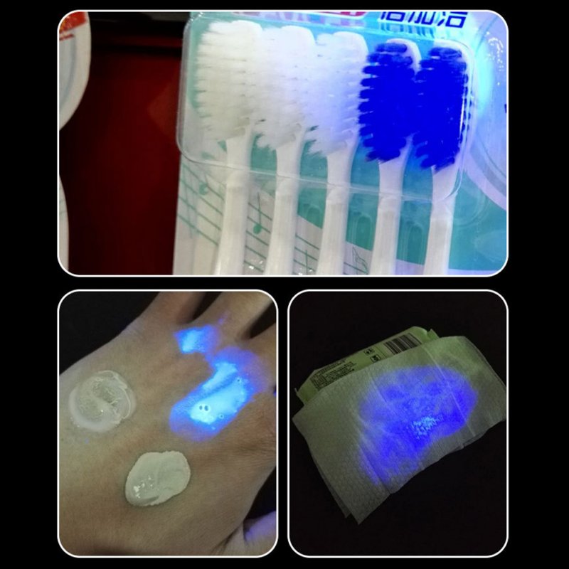 365nm Ultraviolet Light Flashlight Usb Charging Uv Veterinary Lamp Money Detector For Pet Fungus Detection 