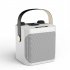 S882 Karaoke Machine With Dual Microphones Change Voice Functions Portable Speaker Subwoofer TF Card U Disk Player For Party Meeting black