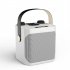 S882 Karaoke Machine With Dual Microphones Change Voice Functions Portable Speaker Subwoofer TF Card U Disk Player For Party Meeting black