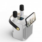 S882 Karaoke Machine With Dual Microphones Change Voice Functions Portable Speaker Subwoofer TF Card U Disk Player For Party Meeting White