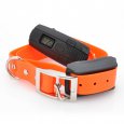 Dog Shock Training Collar w/ 200 Yard Range