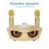 SD306 Dual Wireless Microphone Bluetooth Speaker Mobile Wireless Karaoke Speaker Wireless Stereo Speaker Set Gold