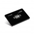 Taisu SSD Marvell 120GB 2.5 Inch Hard Disk