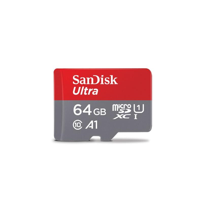 SanDisk 64G Mic
