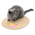 Scratch Board Pad Scratcher Mat Claws Care Cat Toy Furniture Protect Sofa Scratching Pentagram