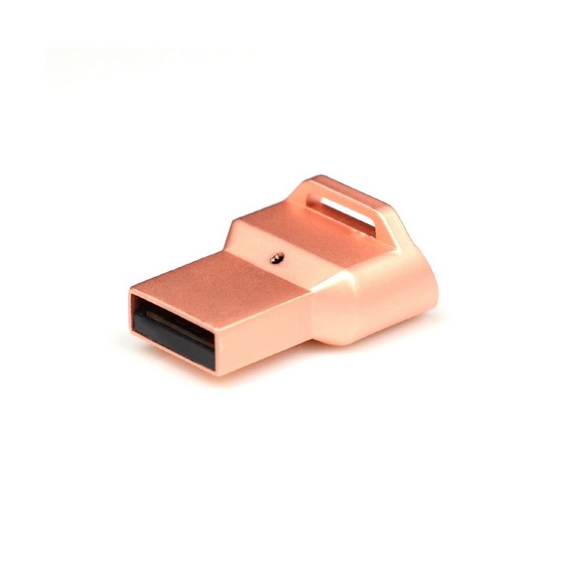 Secure PC Laptop USB Fingerprint Reader Keyless Password Security Lock for Notebook with Windows 10 or Higher System Rose gold