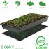 Seedling Heat Mats 10x20 75Inch Waterproof Plant Heating Mats For Seed Starting Germination Hydroponics Brewing EU Plug 220v