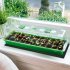 Seedling Heat Mats 10x20 75Inch Waterproof Plant Heating Mats For Seed Starting Germination Hydroponics Brewing EU Plug 220v
