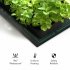 Seedling Heat Mats 10x20 75Inch Waterproof Plant Heating Mats For Seed Starting Germination Hydroponics Brewing US Plug 110v