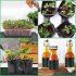 Seedling Heat Mats With Digital Thermostat Controller Plant Heating Mats For Seed Starting Brewing Breeding Greenhouses EU Plug 220 240V