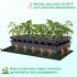 Seedling Heat Mats With Digital Thermostat Controller Plant Heating Mats For Seed Starting Brewing Breeding Greenhouses EU Plug 220 240V
