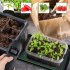 Seedling Heat Mats With Digital Thermostat Controller Plant Heating Mats For Seed Starting Brewing Breeding Greenhouses EU Plug 220 240V