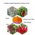 Significantly increase the growth and yield of your pants with this uniquely shaped LED grow light  Comes with 49 red blue LED lights  