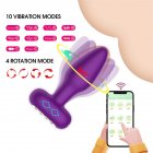 Silicone Anal Plug Vibrator 9 Vibration Modes App Butt Plug Prostate Massager