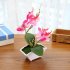 Simulate Butterfly Orchid with Flowerpot Potted Artificial Plant Home Garden Office Decoration1BX1