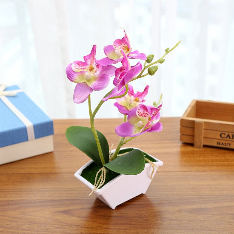 Butterfly Orchid Artificial Decoration