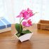 Simulate Butterfly Orchid with Flowerpot Potted Artificial Plant Home Garden Office DecorationTSN9