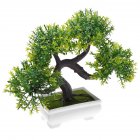 Simulate Potted Plant Cute Microlandschaft Home Office Hotel Decoration   green