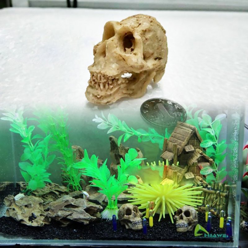 Simulate Resin Skull Landscape Ornament for Reptile Cave Aquarium Terrarium Decoration  Skull skull