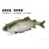 Simulated Deep sea Fish 30cm 170g Large Size Ship Baiting False Baits with Big Hook Adult Outdoor 30cm   170g