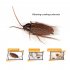 Simulation Electric Cockroach Spider Toy Funny Cat Dog Vibrating Teasing Toys Party Pranks For Halloween Birthdays vibrating spider