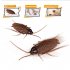 Simulation Electric Cockroach Spider Toy Funny Cat Dog Vibrating Teasing Toys Party Pranks For Halloween Birthdays vibrating cockroach