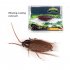 Simulation Electric Cockroach Spider Toy Funny Cat Dog Vibrating Teasing Toys Party Pranks For Halloween Birthdays vibrating cockroach