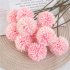 Simulation Globule Single piece Globule Home Placement Simple And Clean Dried Flowers Melaleuca Small Fresh Light pink