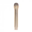 Simulation  Microphone  Model Media Interview Performance Props Children Educational Toys Gold