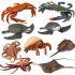 Simulation Sea Animal Modeling Educational Collection Toy for Kids