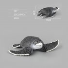 Simulation Sea Animal Modeling Educational Collection Toy for Kids