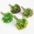 Simulation Siraitia Plastic Flowers And Plants Handmade Craft Decoration Home Decoration Photography White and green