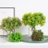Simulation Siraitia Plastic Flowers And Plants Handmade Craft Decoration Home Decoration Photography yellow