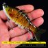 Sinking Wobblers Fishing Lures 10cm 15 5g Multi Jointed Swimbait Hard Artificial Bait Pike Bass Fishing Lure Crankbait A
