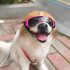 Small Dog Goggles UV Protection Doggy Sunglasses Windproof Sun proof Soft Frame Pet Glasses For Small Dogs gold