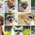 Small Dog Goggles UV Protection Doggy Sunglasses Windproof Sun proof Soft Frame Pet Glasses For Small Dogs gold