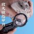 Small Pet Nail Clipper with Magnifying Glass for Hamster Hedgehog Chinchilla Guinea Pig black