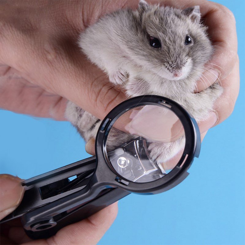 Small Pet Nail Clipper with Magnifying Glass for Hamster Hedgehog Chinchilla Guinea Pig black