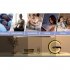 Smart Bluetooth Speaker Alarm Clock 15w Wireless Phone Charger Bedside Night Light Rgb Colorful Desk Lamp US Plug