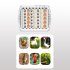 Smart Chicken Incubators for Hatching Eggs Small Poultry Duck Quail 35 Egg Incubator Visual Chicken Eggs Incubator