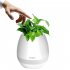Smart Music Flower Pot Creative Can Play Music Outdoor Household Wireless BT Speaker Pink