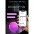 Smart Sunrise Sunset Alarm Clock 9 Modes Rgb Colorful Night Light Atmosphere Light Bedside Lamp EU Plug